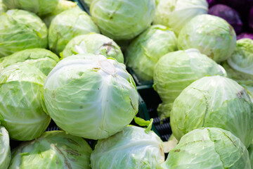 heads ripe cabbage texture background