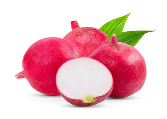 radish isolated on white background