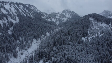 bosque en la montaña cubierto por nieve, foto tomada de un drone.
