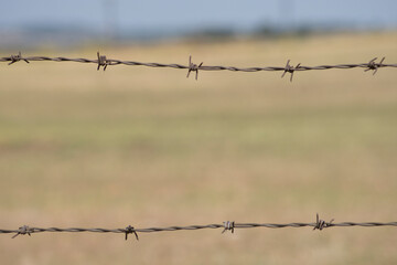 Barbed wire / farm fence