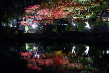 Obraz premium 夜の横浜公園