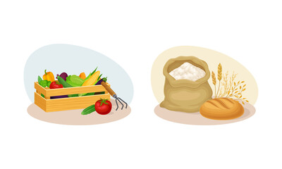 Farm products of agricultural industry set. Wooden crate of fresh organic vegetables and sak of flower cartoon vector illustration