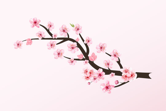 31 483 Best Cherry Blossom Tree Vector Images Stock Photos Vectors Adobe Stock