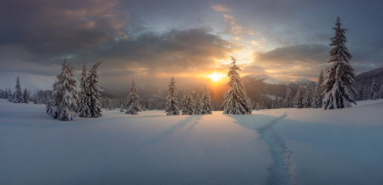 Fantastic winter landscape panorama in snowy mountains glowing by evening sunlight. Dramatic wintry scene with frozen snowy trees at sunset. Christmas holiday background