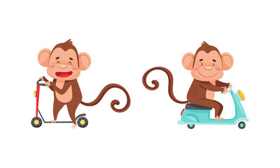 Cute monkey character in transport set. Funny jungle animal riding kick scooter and motorbike cartoon vector illustration