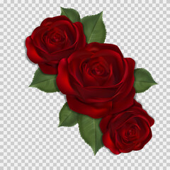 Vector three red roses PNG