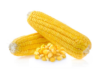 corn on white background