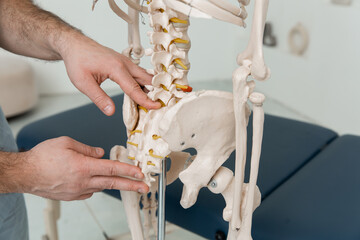 Doctor man pointing on coccyx of human skeleton anatomical model. Physiotherapist explaining joints...