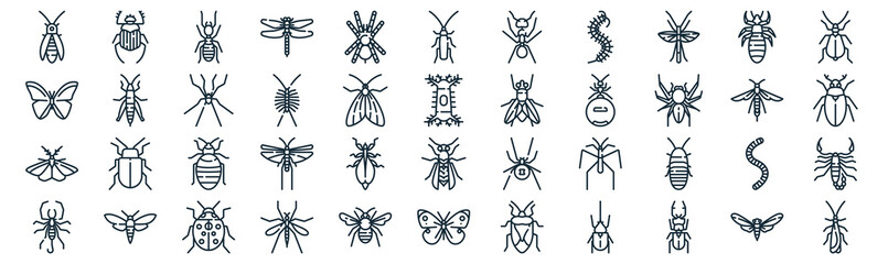 insects thin line icon set such as pack of simple tarantula, centipede, bedbug, bug, moth, spider, louse icons for report, presentation, diagram, web design