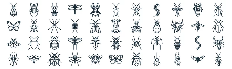 Foto op Plexiglas insects thin line icon set such as pack of simple tarantula, centipede, bedbug, bug, moth, spider, louse icons for report, presentation, diagram, web design © MacroOne