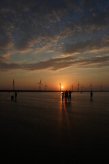 高美濕地,台灣
Gaomei Wetlands,Taiwan