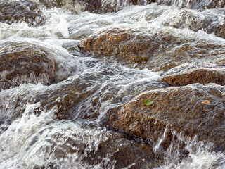 River water contaminated by pollution. Climate change concept