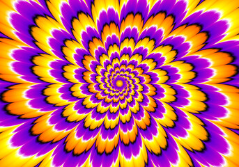 Yellow flower blossom. Optical expansion illusion.