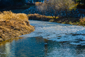 겨울 하천의 차가운 갈색 풍경