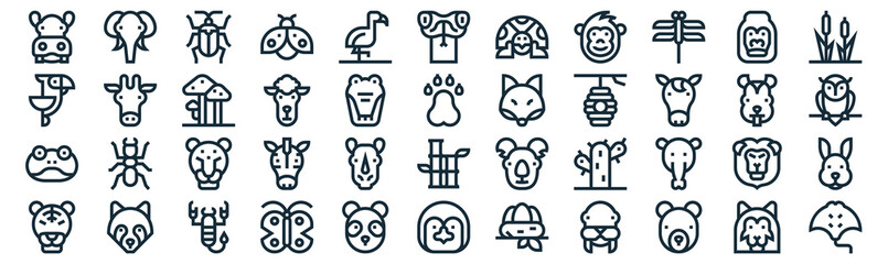wildlife thin line icon set such as pack of simple flamingo, sheep, leopard, racoon, frog, mushroom, gorilla icons for report, presentation, diagram, web design © MacroOne