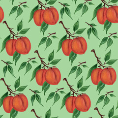 Seamless pattern with branches of ripe apricots, peaches, nectarines on a green background. Tropical fruits. Watercolor illustration. For textiles, packaging, wallpaper.