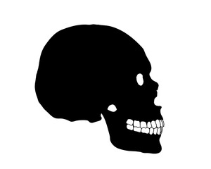 Crâne humain de profil, icône
