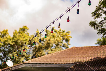 Set of bulbs for a party in the forest