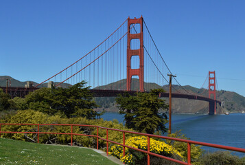 Golden Gate bridge view from a park on a clear blue sky day