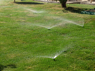 Watering the grass lawn. Drops of water fall on the green grass and the moist soil of the flower...