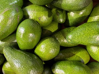Avocado. Background of a large number of fruits. High quality photo