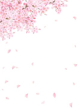 桜背景横 の画像 3 438 件の Stock 写真 ベクターおよびビデオ Adobe Stock