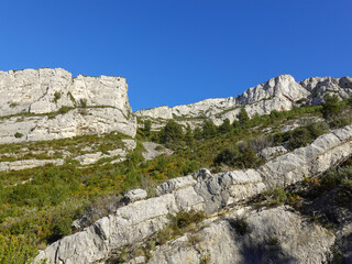 Provencal garrigue with limestone rocks. Vallon de la Barasse.