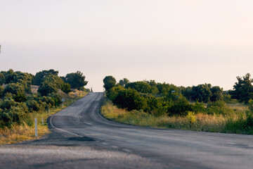 An asphalt road among the trees.