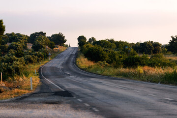 Naklejka premium An asphalt road among the trees.