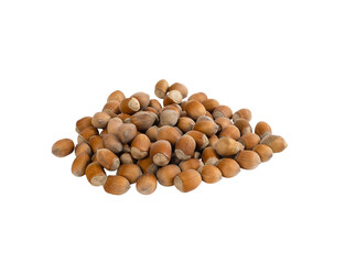 Scattered group of hazelnuts on white background. Fresh hazelnuts in their shells.