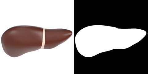 3D rendering illustration of a stylized human liver and gallbladder anatomy