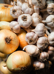 Garlic and onion. Rich harvest.