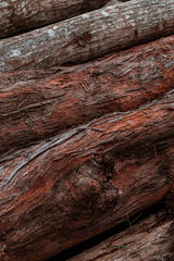 Piękne drewniane brązowe tło, tekstura drzewa. - obrazy, fototapety, plakaty