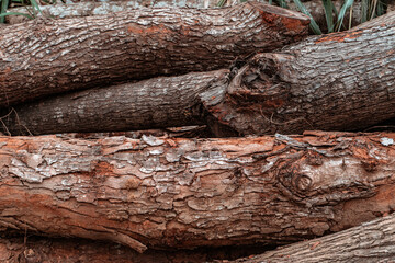 Piękne drewniane brązowe tło, tekstura drzewa.