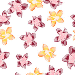Fototapeta na wymiar VIntage plumeria flower seamless pattern isolated on white background.