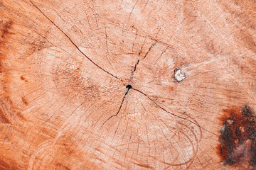 Piękne drewniane brązowe tło, tekstura drzewa. - obrazy, fototapety, plakaty