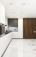 Modern Style Kitchen Interior in white and wooden colors