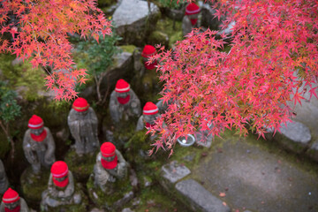 Autumn red maple leaves in Japanese temple　大聖院の五百羅漢像と紅葉したもみじ...