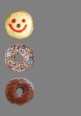 Row of Delectable Assorted Donuts Isolated on Gray Background