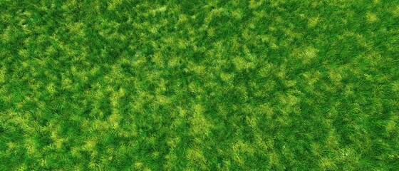 Beautiful green grass, grass glade texture, grassy background, grass texture, 3d rendering