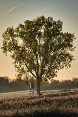 Obraz premium Sonnenaufgang