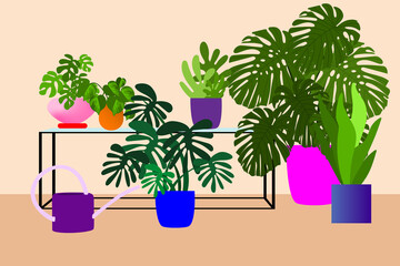 house plants as a mindful hobbies