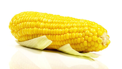 Fresh Vegetables - Boiled Corn Cob on white Background Isolated