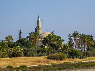 Hala Sultan Tekke seen from a distance. The mosque is surrounded by lush setting - palm trees and...