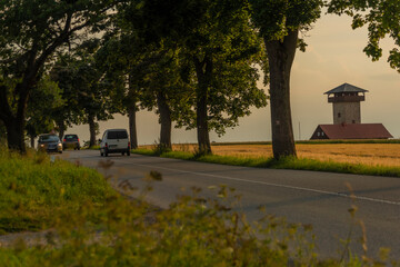 Obraz premium Passenger cars on alley road with leaf trees in sunset summer evening