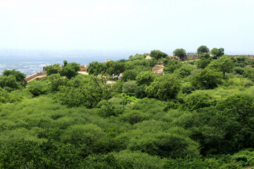 Fototapeta na wymiar Nahargarh fort garden. Jaipur, India