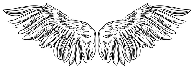 Beautiful white angel spreaded wings, symbol of freedom, hand drawn monochrome vector illustration