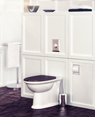 Fototapeta na wymiar Classical Toilet in Design (detail) - 3D Visualization
