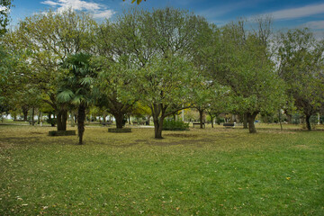Fototapeta na wymiar Trees in the park in a cloudy autumn day 