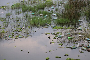 Plastic is numbing the environment